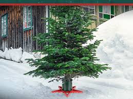 GuuG Real Christmas Tree Stand Base - Live Trees Small Christmas Tree Holder up to 6.5ft Trees for Real Xmas Trees 0.53 Gal Star+ RED